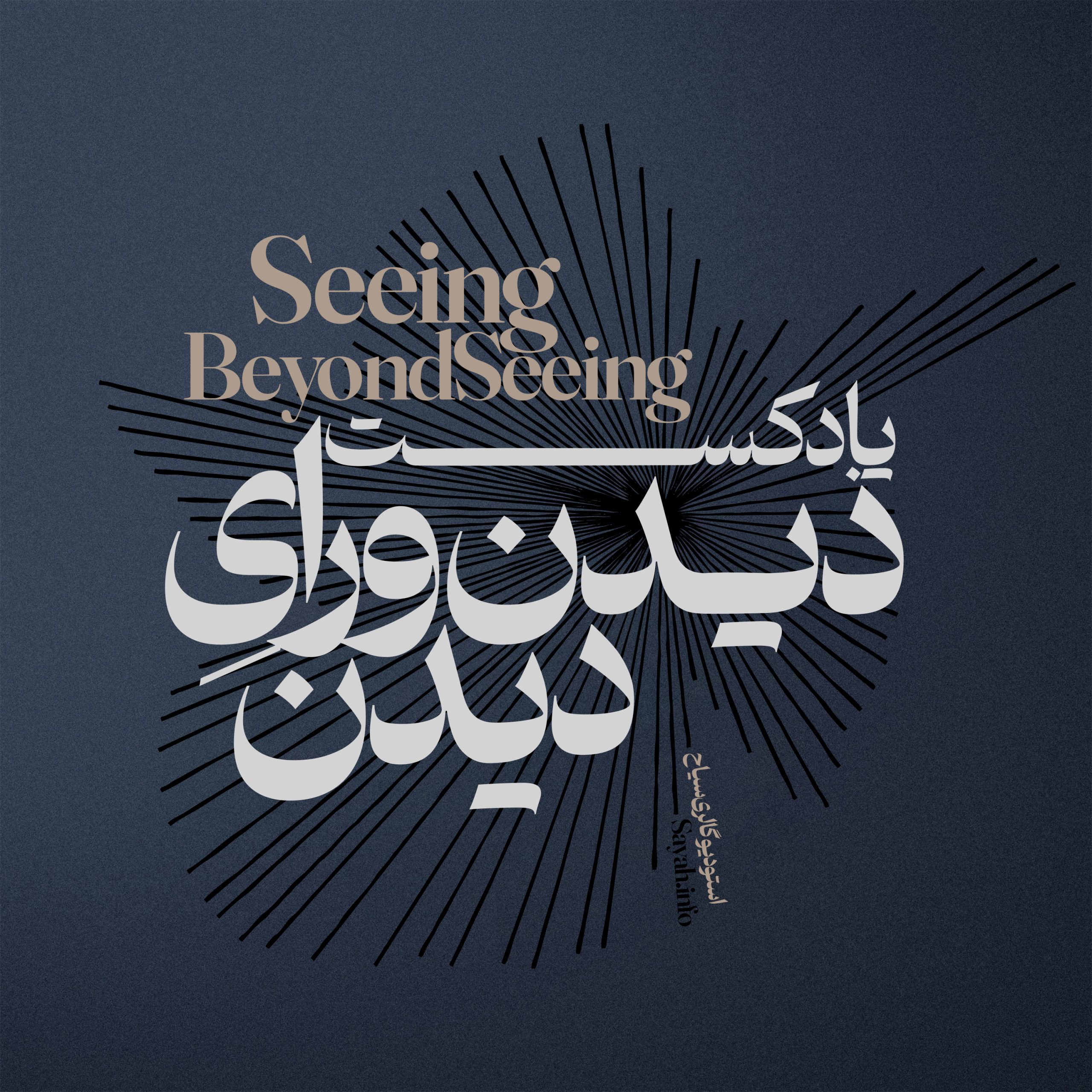 Seeing Beyond Seeing